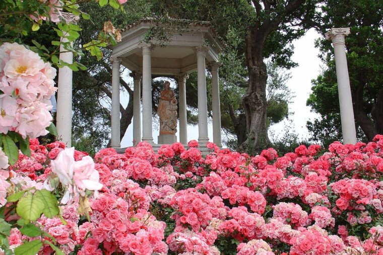 The beautiful roses of Fete des Roses
